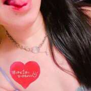 ヒメ日記 2025/12/18 09:11 投稿 らん 花夫人