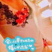 ヒメ日記 2025/12/23 09:40 投稿 らん 花夫人