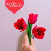 ヒメ日記 2025/12/24 10:59 投稿 らん 花夫人