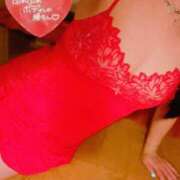 ヒメ日記 2025/12/28 17:56 投稿 らん 花夫人