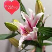 ヒメ日記 2025/12/30 13:08 投稿 らん 花夫人