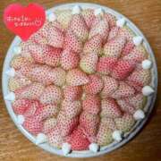 ヒメ日記 2026/01/05 16:54 投稿 らん 花夫人