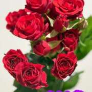 ヒメ日記 2026/01/16 10:19 投稿 らん 花夫人