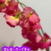 ヒメ日記 2026/01/23 21:23 投稿 らん 花夫人