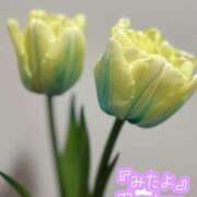 ヒメ日記 2026/01/27 23:57 投稿 らん 花夫人