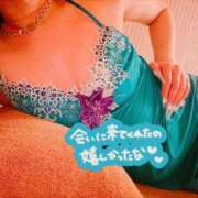 ヒメ日記 2026/02/01 08:34 投稿 らん 花夫人