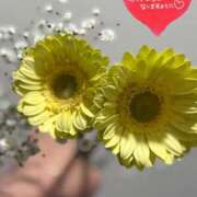 ヒメ日記 2026/02/03 09:20 投稿 らん 花夫人