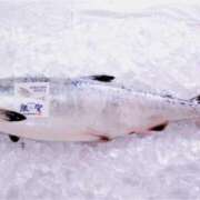 らん 銀聖♡ 花夫人