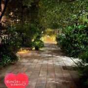 ヒメ日記 2026/04/26 12:28 投稿 らん 花夫人