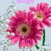 ヒメ日記 2026/04/29 08:34 投稿 らん 花夫人