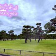 ヒメ日記 2026/06/11 02:43 投稿 らん 花夫人