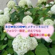 ヒメ日記 2025/06/23 14:25 投稿 ぴあの クラブハートDX