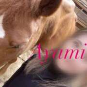 ヒメ日記 2025/12/17 14:19 投稿 アヤミ PLATINUM