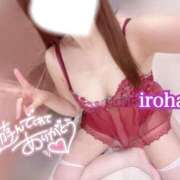 ヒメ日記 2024/12/17 12:40 投稿 いろは CECIL