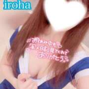 ヒメ日記 2024/12/21 09:27 投稿 いろは CECIL