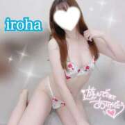 ヒメ日記 2024/12/29 08:43 投稿 いろは CECIL