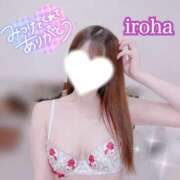 ヒメ日記 2024/12/30 09:30 投稿 いろは CECIL