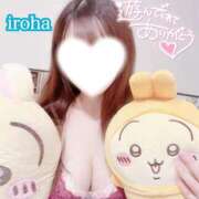 ヒメ日記 2024/12/31 05:18 投稿 いろは CECIL