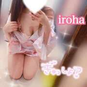 ヒメ日記 2025/01/31 21:31 投稿 いろは CECIL