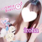 ヒメ日記 2025/02/01 13:46 投稿 いろは CECIL