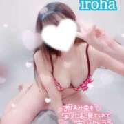 ヒメ日記 2025/02/11 22:49 投稿 いろは CECIL