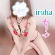 ヒメ日記 2025/03/27 17:37 投稿 いろは CECIL