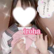 ヒメ日記 2025/04/26 10:17 投稿 いろは CECIL