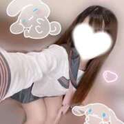 ヒメ日記 2025/04/29 12:32 投稿 いろは CECIL