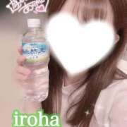 ヒメ日記 2025/05/02 17:24 投稿 いろは CECIL