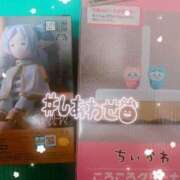 ヒメ日記 2025/05/14 21:05 投稿 いろは CECIL