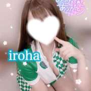 ヒメ日記 2025/05/20 06:57 投稿 いろは CECIL