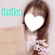 ヒメ日記 2025/05/28 09:26 投稿 いろは CECIL