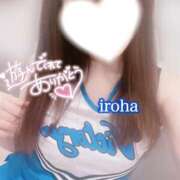 ヒメ日記 2025/05/29 05:39 投稿 いろは CECIL