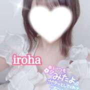 ヒメ日記 2025/06/27 11:23 投稿 いろは CECIL