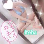 ヒメ日記 2025/07/11 12:16 投稿 いろは CECIL