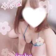 ヒメ日記 2025/09/03 19:53 投稿 いろは CECIL