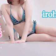 ヒメ日記 2025/09/06 13:37 投稿 いろは CECIL