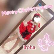 いろは さんたっ CECIL