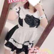 いろは にゃー🐈 CECIL