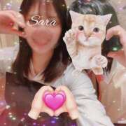 ヒメ日記 2025/04/06 20:29 投稿 Sara 五反田M性感フェチ倶楽部 マスカレード