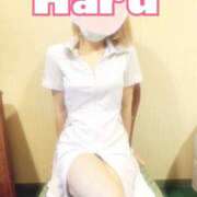 ヒメ日記 2025/04/23 11:49 投稿 ハル マドンナ(仙台)