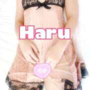 ヒメ日記 2025/05/02 09:03 投稿 ハル マドンナ(仙台)