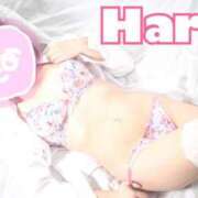 ヒメ日記 2025/05/10 11:33 投稿 ハル マドンナ(仙台)