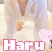 ヒメ日記 2025/06/16 12:19 投稿 ハル マドンナ(仙台)