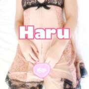 ヒメ日記 2025/10/03 19:15 投稿 ハル マドンナ(仙台)