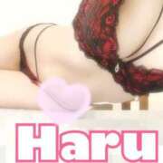 ヒメ日記 2025/10/24 09:33 投稿 ハル マドンナ(仙台)