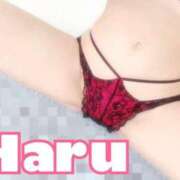 ヒメ日記 2025/10/24 19:03 投稿 ハル マドンナ(仙台)