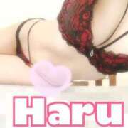 ヒメ日記 2025/11/05 09:19 投稿 ハル マドンナ(仙台)