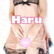 ヒメ日記 2025/11/18 16:48 投稿 ハル マドンナ(仙台)