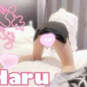 ヒメ日記 2025/12/09 19:13 投稿 ハル マドンナ(仙台)